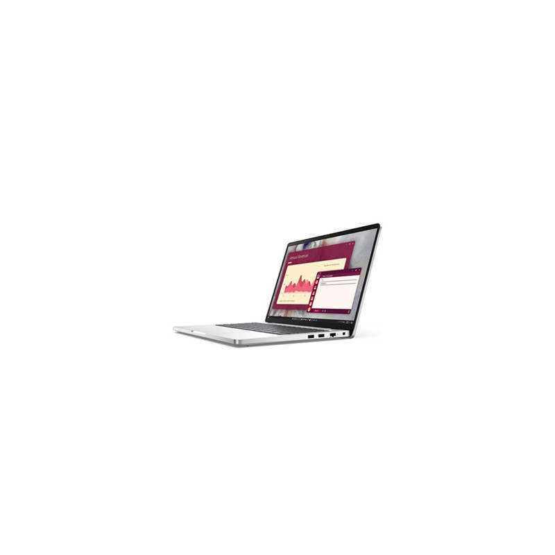 Dell Pro - Notebook