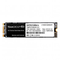 TG MS30 M.2 2280 256GB