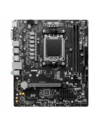 MSI PRO A620M-E, Chipset AMD A620