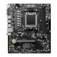 MSI PRO A620M-E, Chipset AMD A620