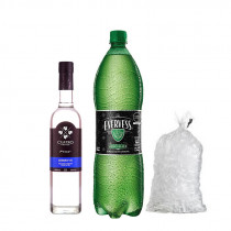 COMBO15	PISCO CUATRO GALLOS QUEBRANTA  700ML + EVERVESSL 1.5L + HIELO