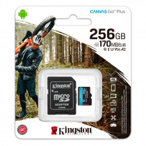 Kingston Canvas Go! Plus, 256GB