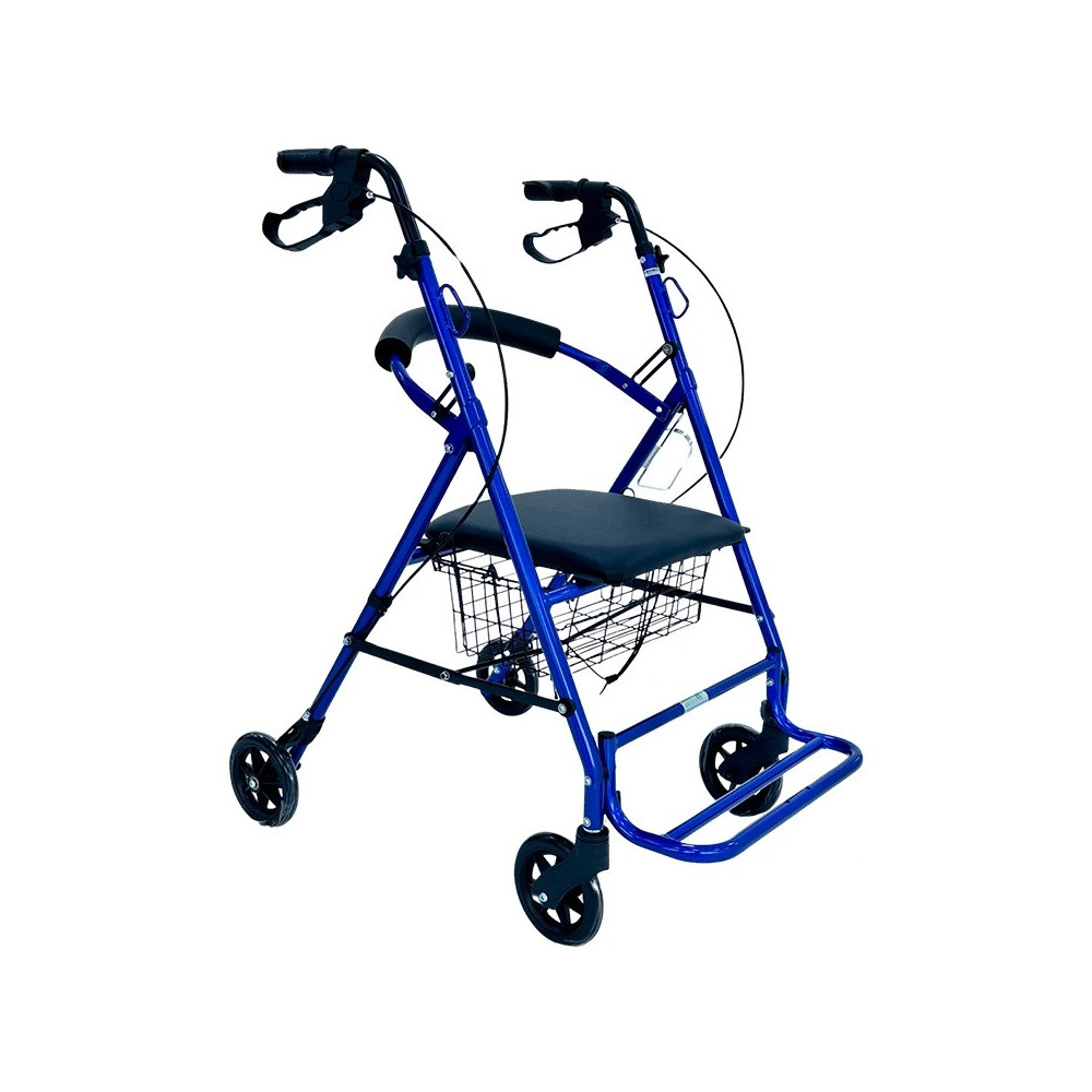 Andador y silla de paseo azul