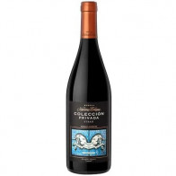 Vino Tinto NAVARRO CORREAS Colección Privada Syrah Botella 750ml
