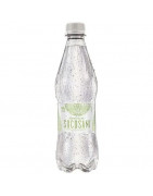 Agua Mineral SOCOSANI Pera Botella 500ml