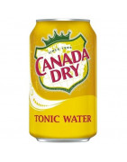 Agua Tónica CANADA DRY Lata 355ml