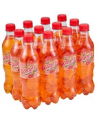 Gaseosa GUARANÁ Paquete 15 Botellas 450ml c/u