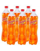 Gaseosa GUARANÁ Paquete 6 Botellas 1L c/u