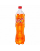 Gaseosa GUARANÁ Botella 1L