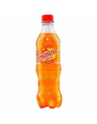 Gaseosa GUARANÁ Botella 450ml
