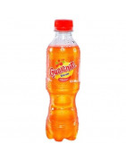 Gaseosa GUARANÁ Botella 300ml