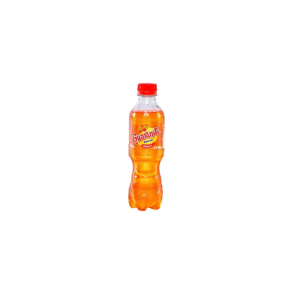Gaseosa GUARANÁ Botella 300ml