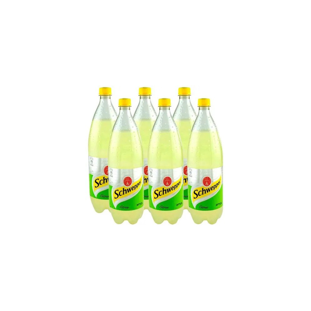 Ginger Ale SCHWEPPES Citrus Paquete 6 Botellas 1.5L c/u