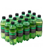 Gaseosa EVERVESS Ginger Ale Paquete 15 Botellas 500ml c/u