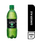 Gaseosa EVERVESS Ginger Ale Botella 500ml