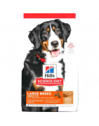 Hills SD Adult Lamb & Rice Large Breed 33 lb Adulto Raza grande Cordero y arroz 14.96 Kg