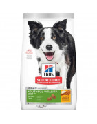 Alimento Seco Perro Vitalidad Juvenil Adulto 5.6kg